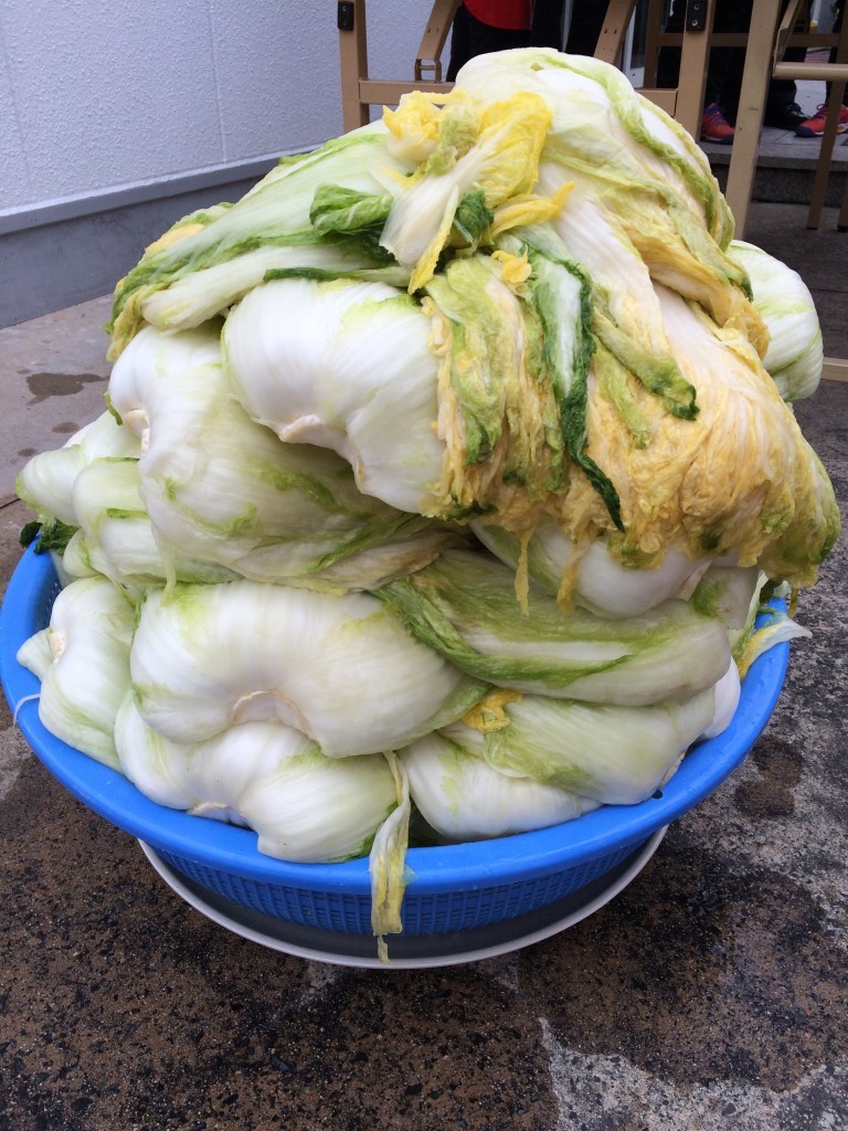 pile of lettuce heads