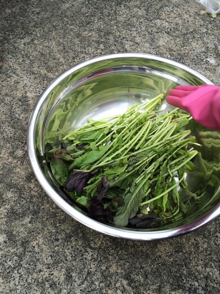 veggies for making kimchi